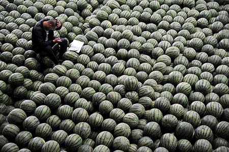 میوه فروش در میان بار هندوانه- شاآنشی، چین