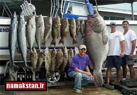 تصاویر و عکس های شکار ماهی های عظیم الجثه در قایق ماهیگران