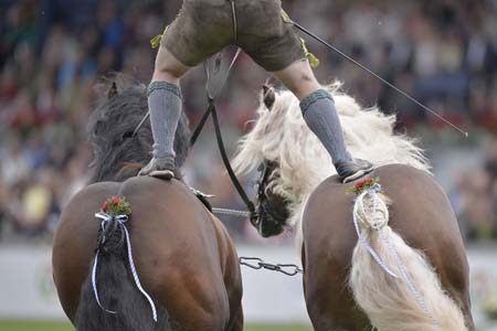 فستیوال اسب سواری در آخن آلمان