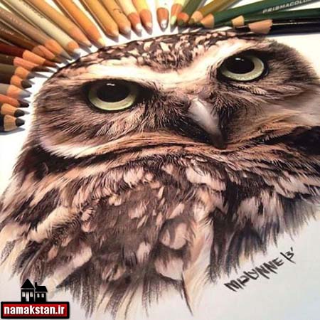 تصاویر و عکس های دیدنی از نقاشی حیوانات با مداد رنگی و سیاه قلم و حتی ماژیک