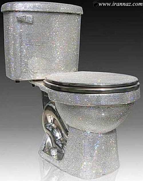 تصاویر و عکسهای خنده دار از انواع توالت فرنگی